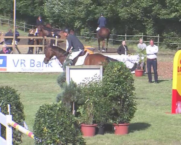 Reitturnier Tasdorf 2016