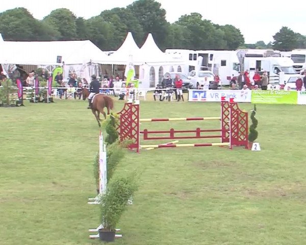 Reitturnier Tasdorf 2016