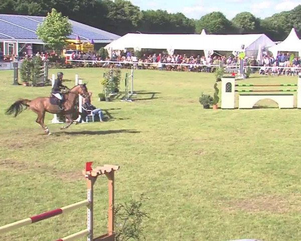Reitturnier Tasdorf 2016