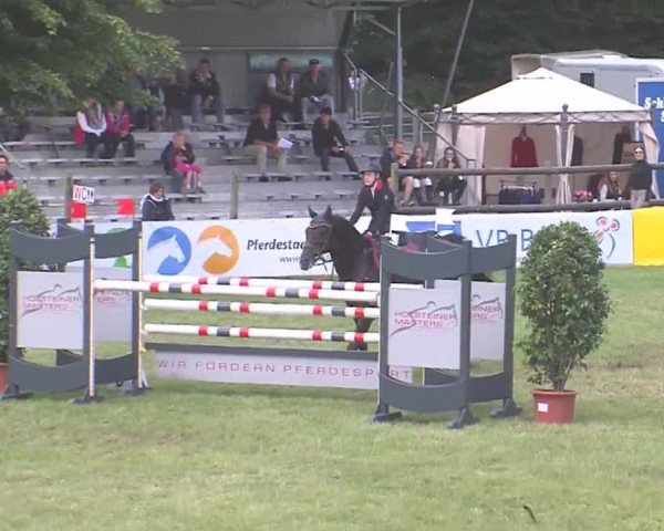 Reitturnier Tasdorf 2016