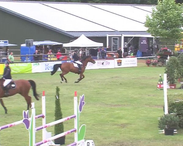 Reitturnier Tasdorf 2016