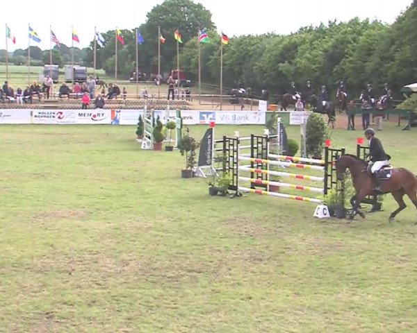 Reitturnier Tasdorf 2016