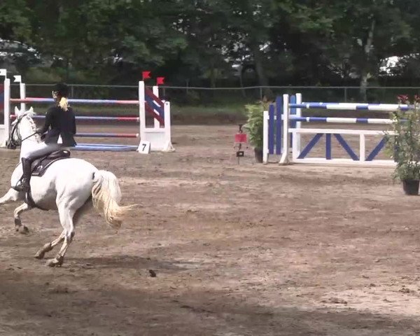 Reitturnier Wiesloch 2016