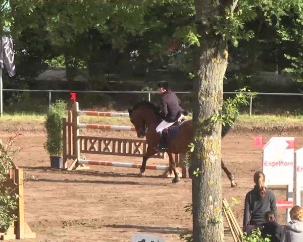 Reitturnier Wiesloch 2016