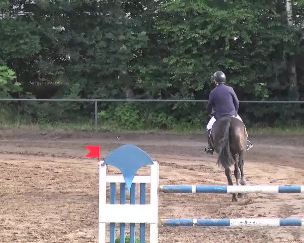 Reitturnier Wiesloch 2016