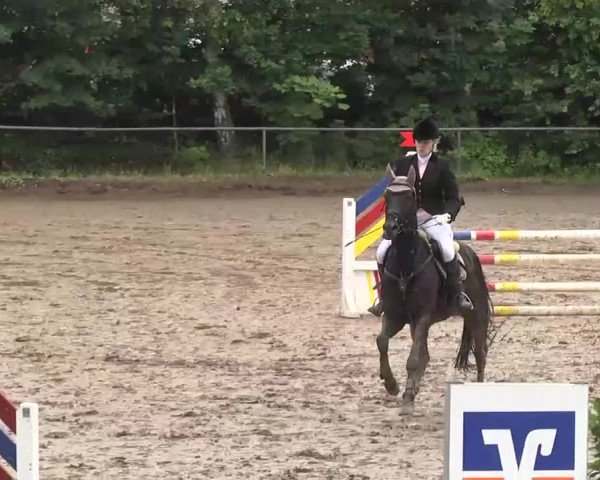 Reitturnier Wiesloch 2016