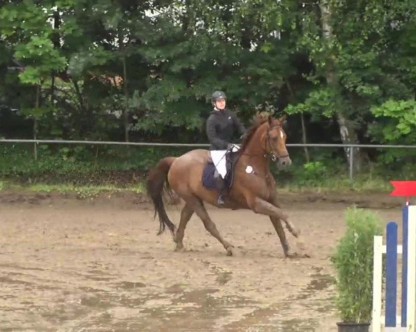 Reitturnier Wiesloch 2016