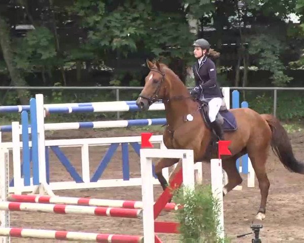 Reitturnier Wiesloch 2016
