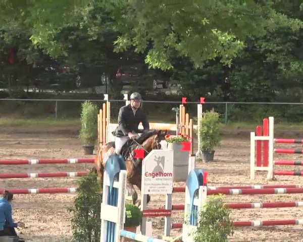 Reitturnier Wiesloch 2016
