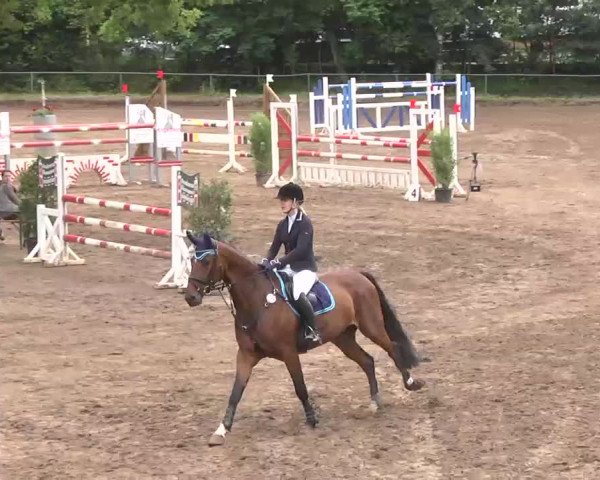 Reitturnier Wiesloch 2016
