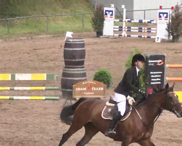 Reitturnier Wiesloch 2016