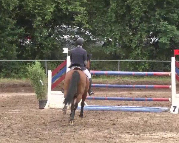 Reitturnier Wiesloch 2016