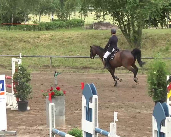 Reitturnier Wiesloch 2016