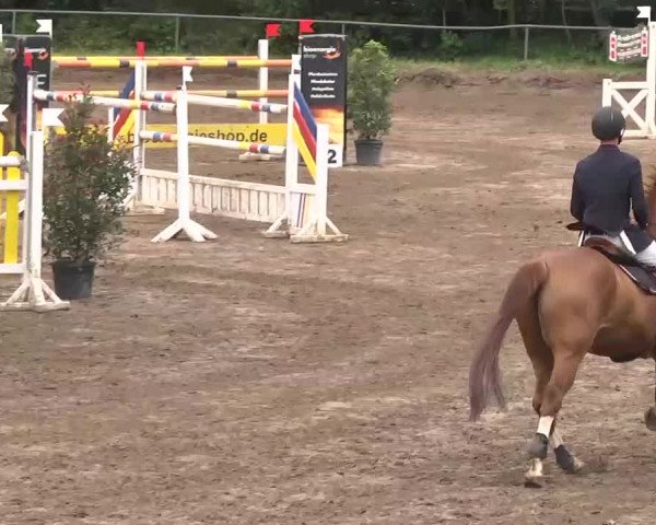 Reitturnier Wiesloch 2016