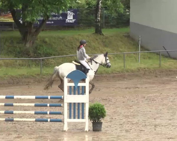 Reitturnier Wiesloch 2016
