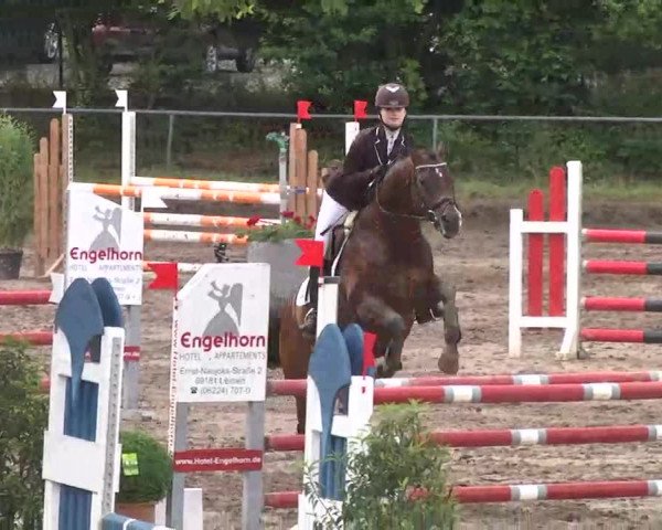 Reitturnier Wiesloch 2016