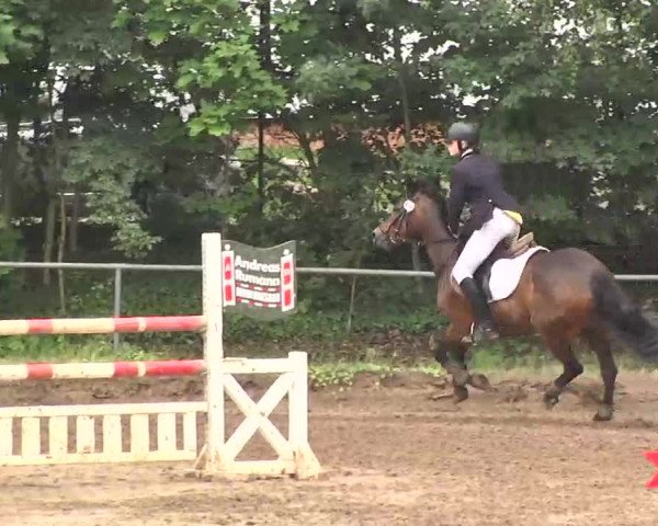 Reitturnier Wiesloch 2016