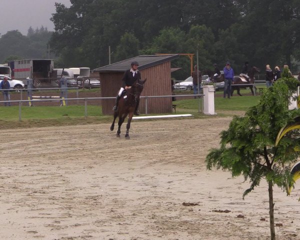 Coesfelder Reitertage 2016