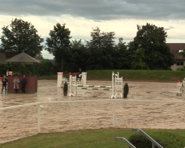 Reitturnier Fröndenberg 2016