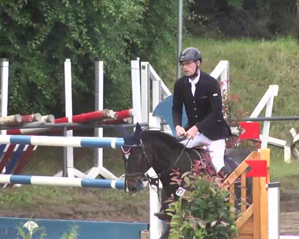 Reitturnier Wiesloch 2016