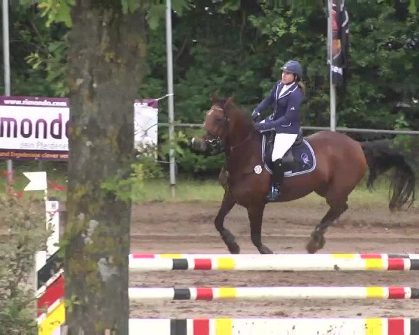 Reitturnier Wiesloch 2016