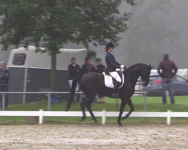 Coesfelder Reitertage 2016