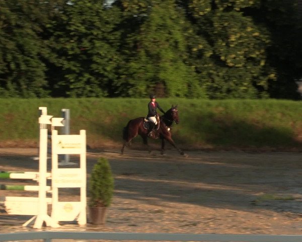 Reitturnier Fröndenberg 2016