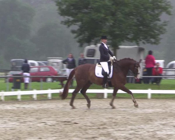 Coesfelder Reitertage 2016