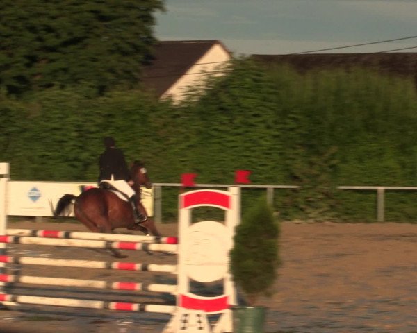 Reitturnier Fröndenberg 2016