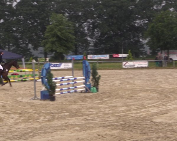 Coesfelder Reitertage 2016