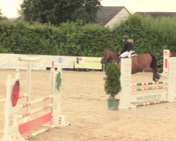Reitturnier Fröndenberg 2016