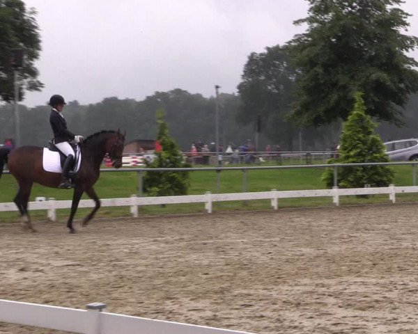Coesfelder Reitertage 2016
