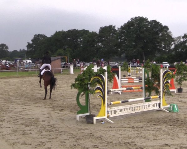 Coesfelder Reitertage 2016