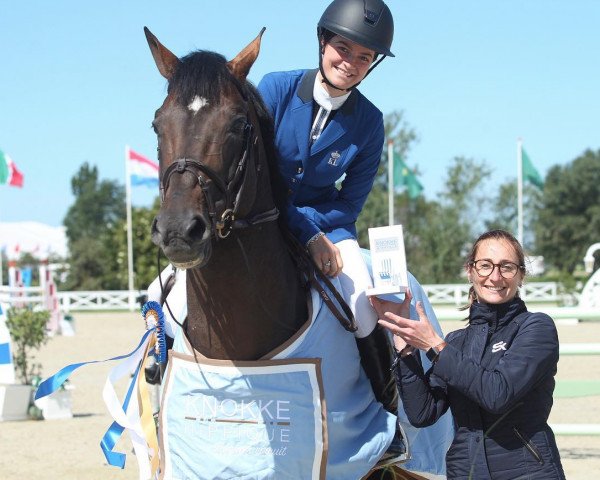 jumper Jackson (Belgian Warmblood, 2009, from Diamant de Semilly)