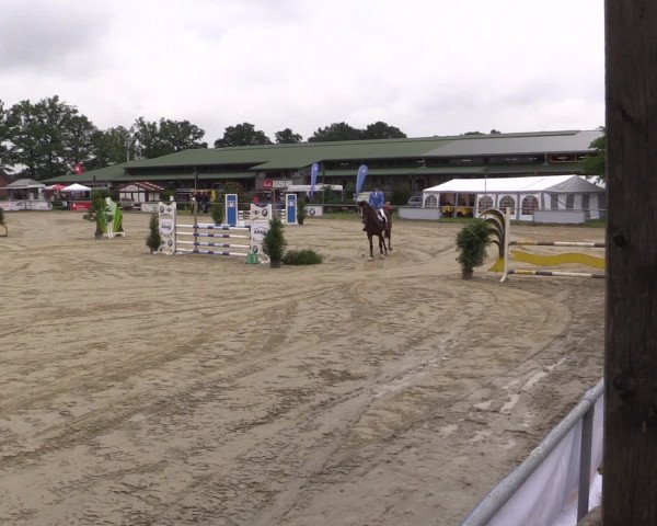 Coesfelder Reitertage 2016