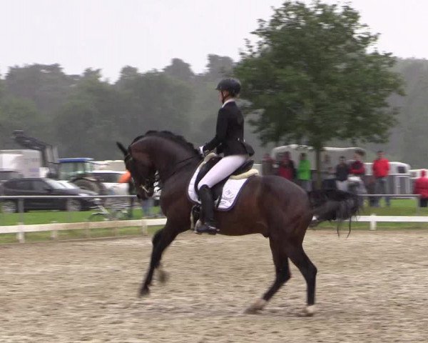 Coesfelder Reitertage 2016