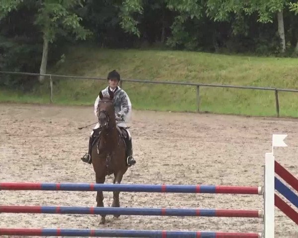 Reitturnier Wiesloch 2016