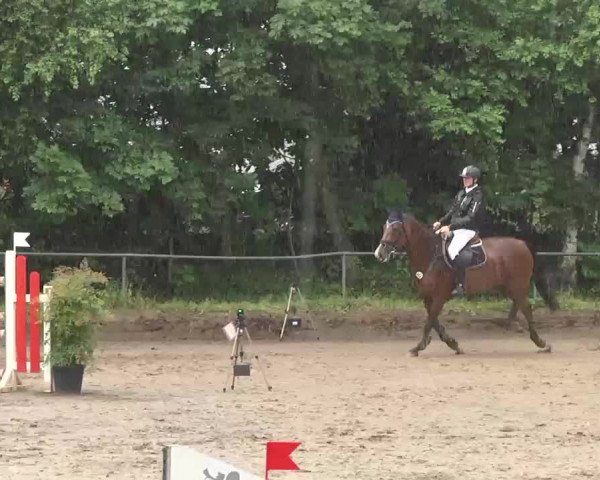 Reitturnier Wiesloch 2016