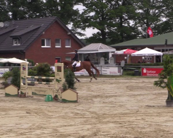 Coesfelder Reitertage 2016