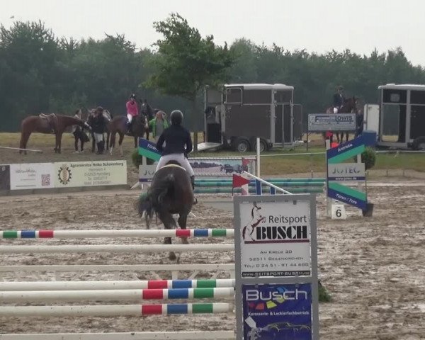 Heinsberger Dressur- und Springtage 2016