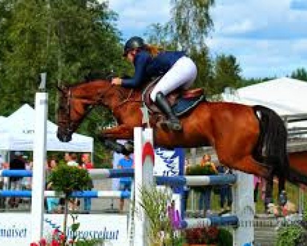 horse Orchid's Jacunda (Nederlands Rijpaarden en Pony, 2000, from Milton)