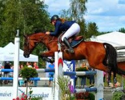 horse Orchid's Jacunda (Nederlands Rijpaarden en Pony, 2000, from Milton)
