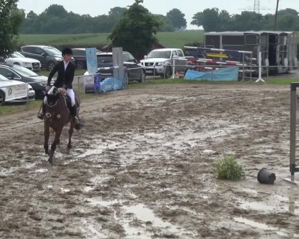 Heinsberger Dressur- und Springtage 2016