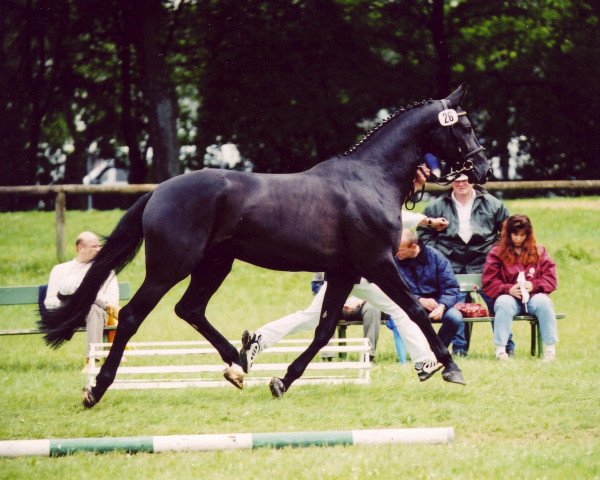 broodmare Roma H (Bavarian, 1998, from Campari M)
