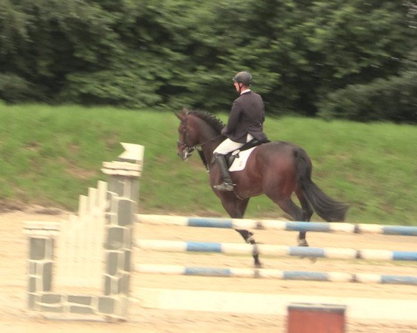 Reitturnier Fröndenberg 2016