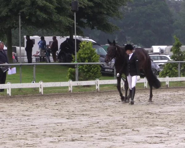 Coesfelder Reitertage 2016