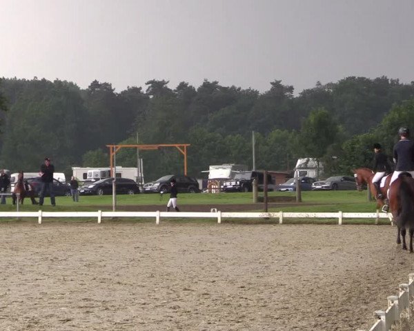 Coesfelder Reitertage 2016