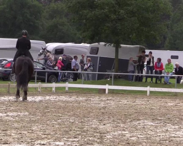 Coesfelder Reitertage 2016