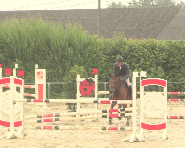 Reitturnier Fröndenberg 2016