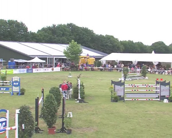 Reitturnier Tasdorf 2016